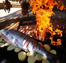 Salmon A La Plancha