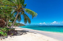 White Sandy Beaches